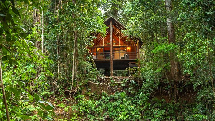 Rainforest Australian Hotel.