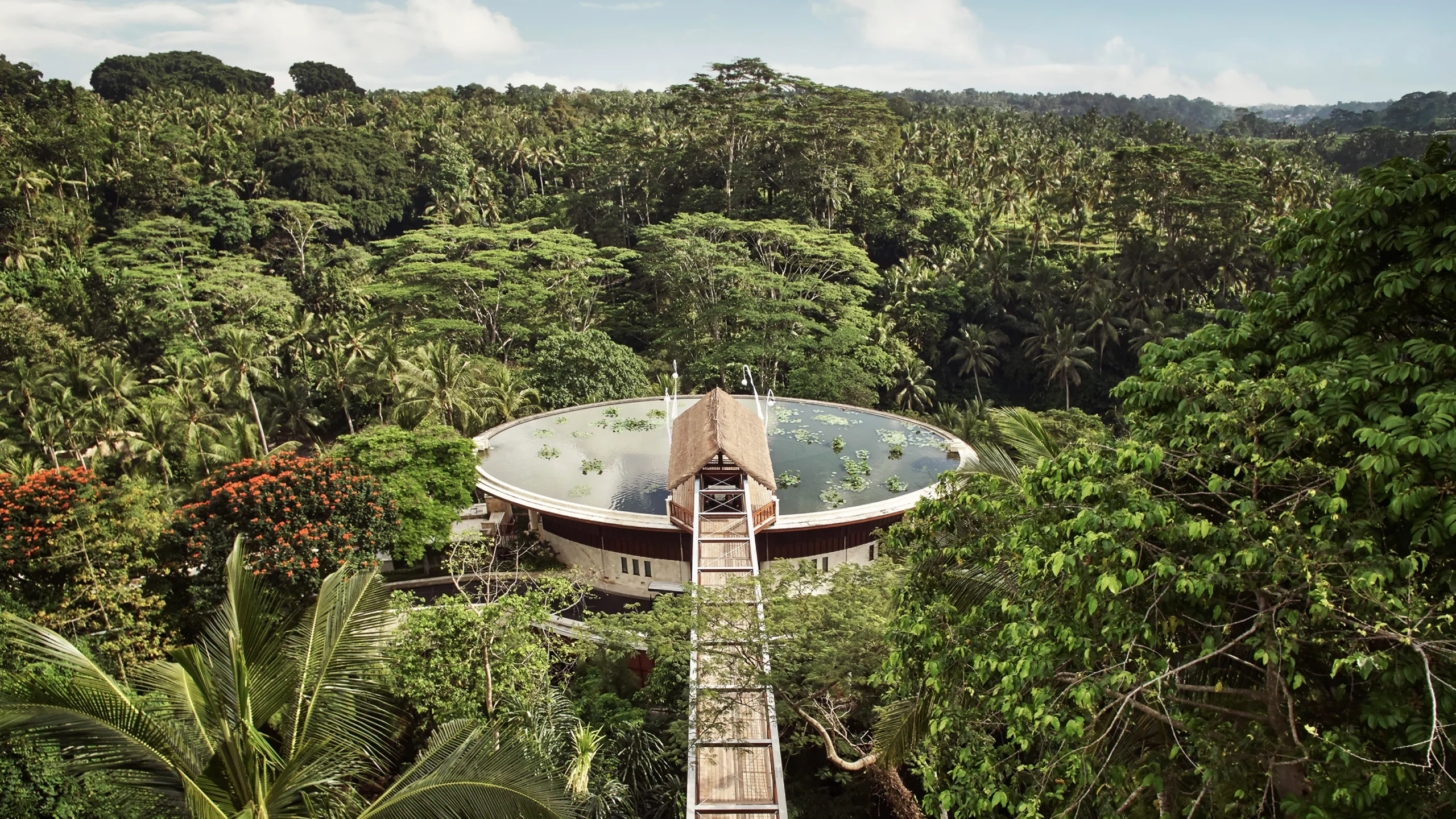 Rainforest Australian Hotel.