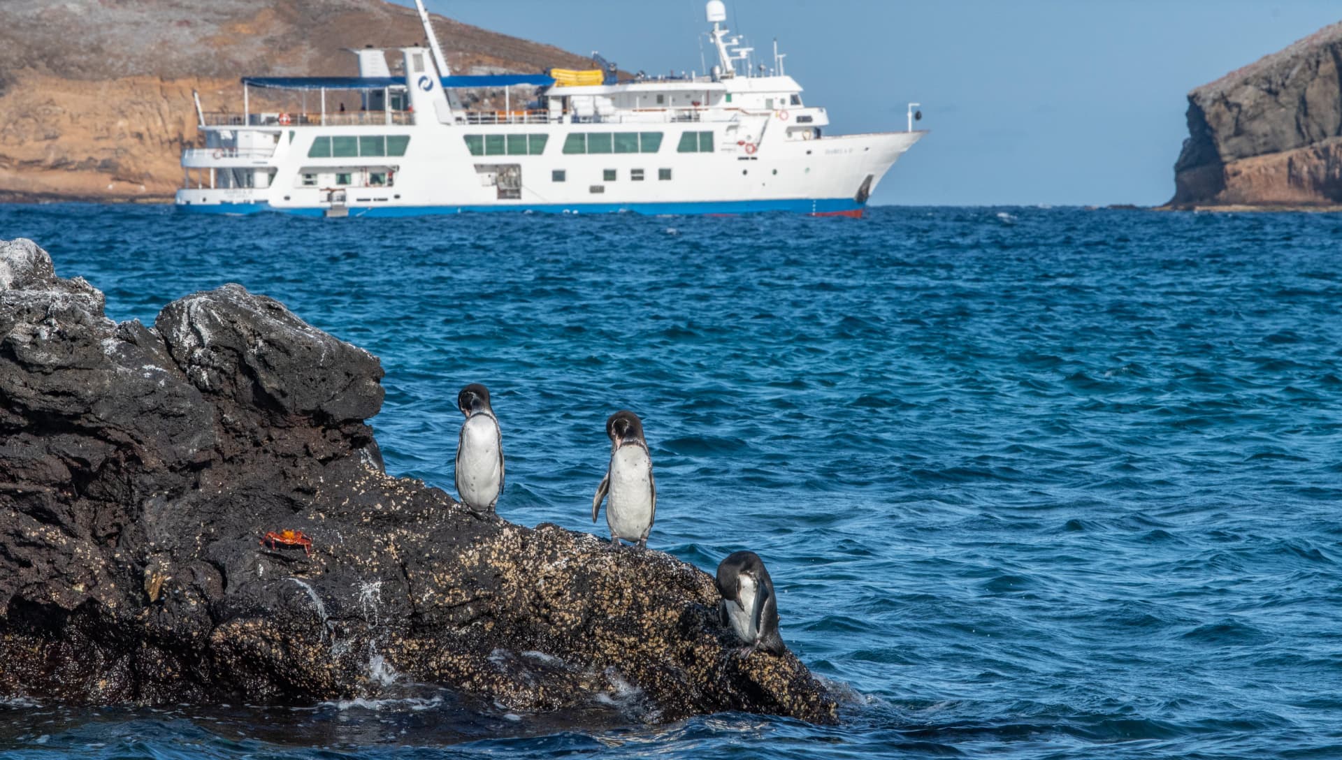 Image Source:  Galápagos Islands