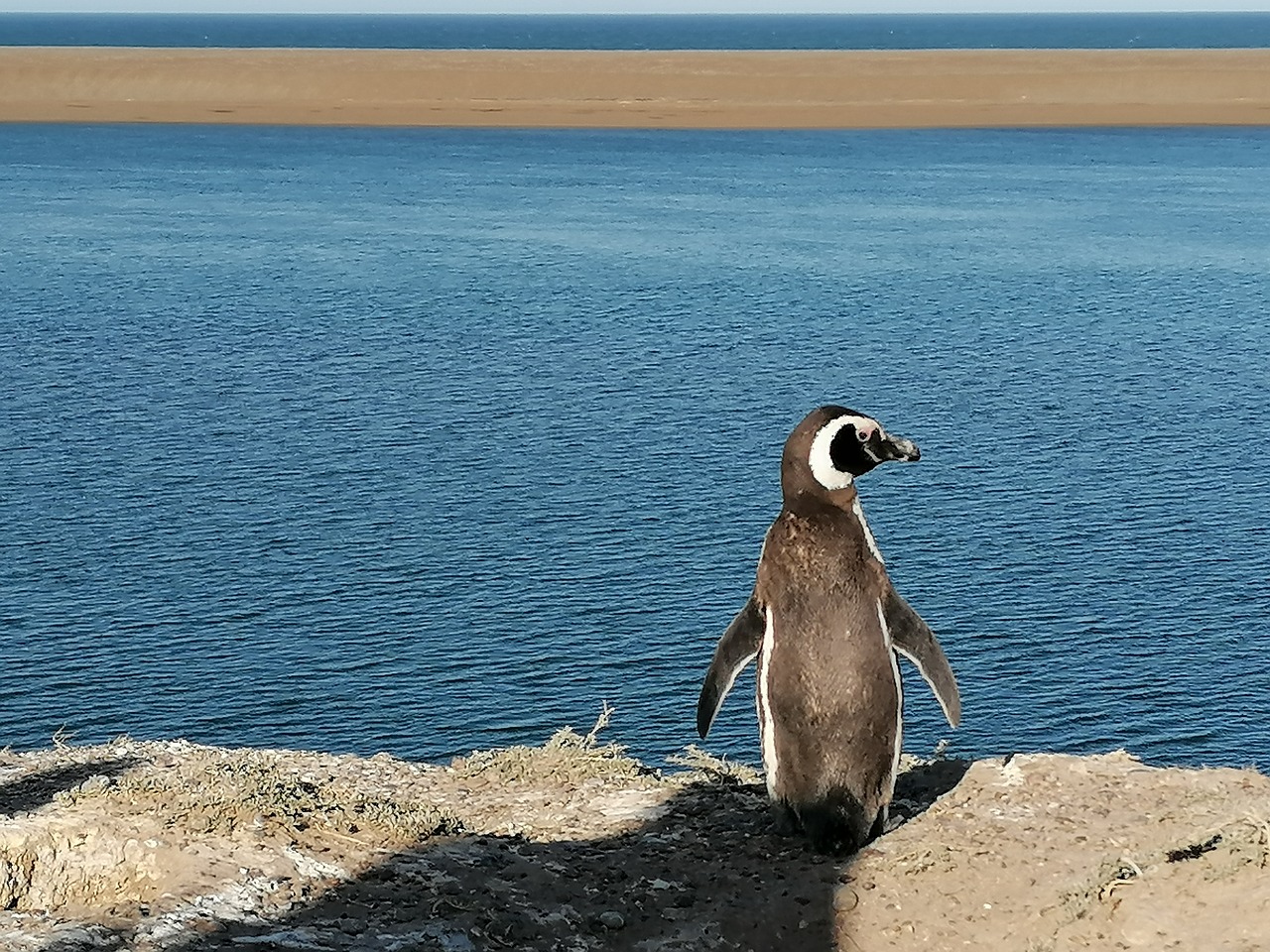 whale watching tours around the world