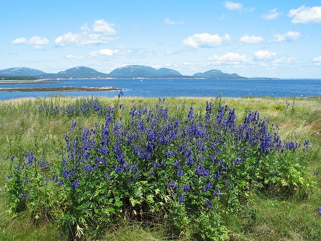 Best Hikes In Acadia National Park