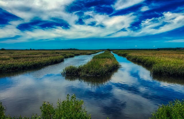 edisto island trip