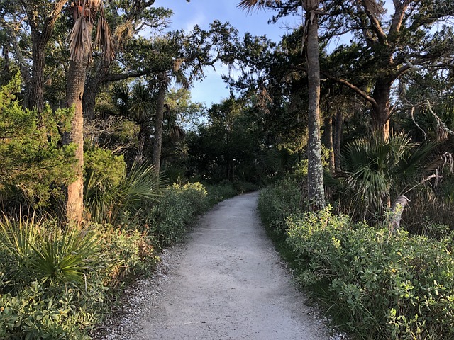 edisto island trip