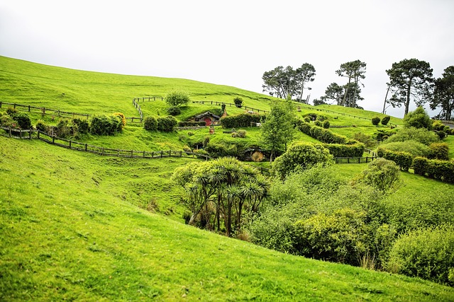 The Lord of the Rings shoot location