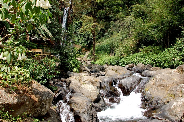 Sekumpul waterfall Bali