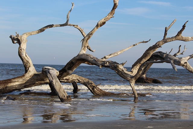 Georgia Beaches