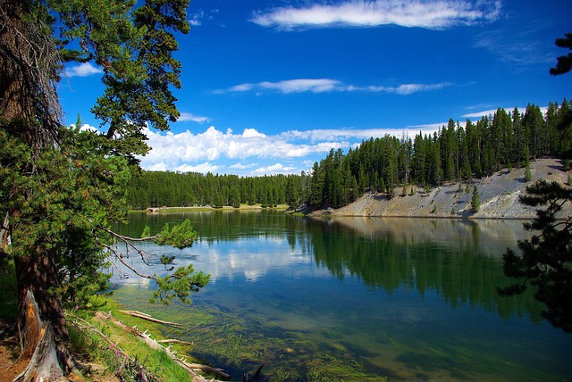 Yellowstone National Park