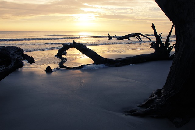 Georgia Beaches