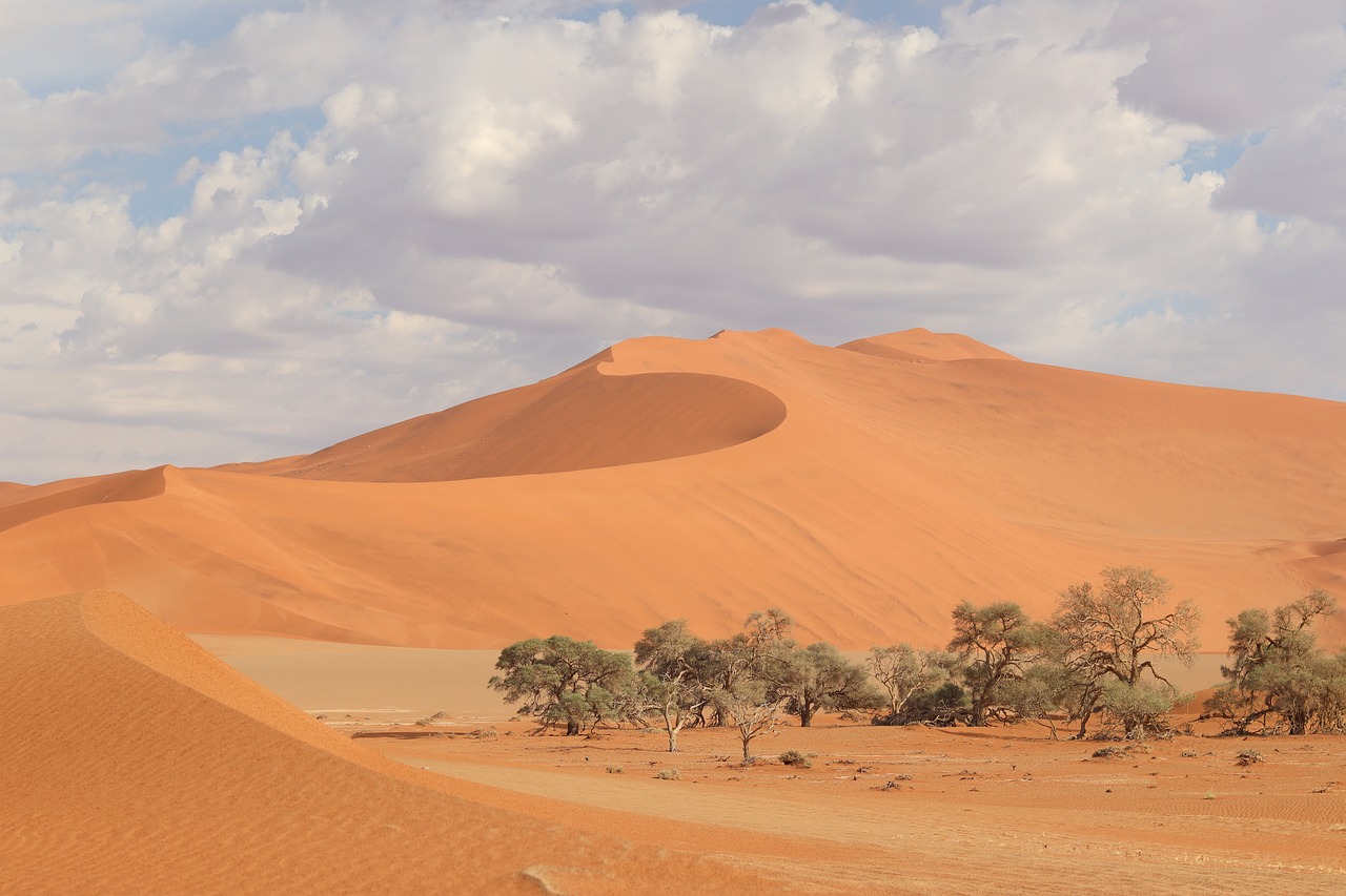 Top 10 Desert Landscapes