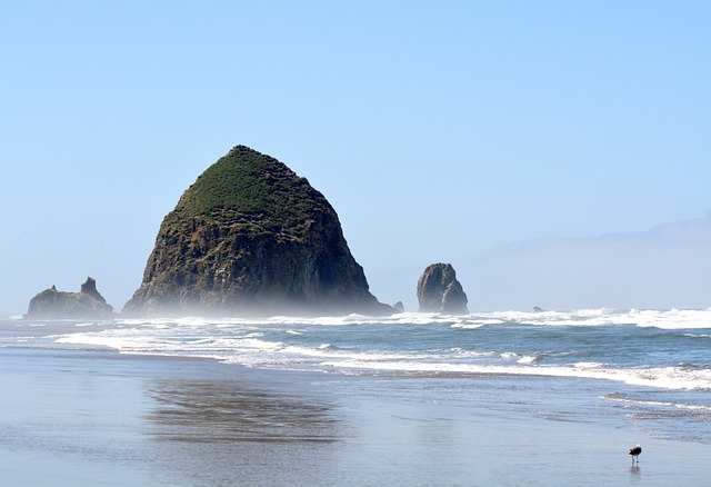 8 Best Beaches in Oregon