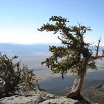 10 Top Places to Visit in Nevada