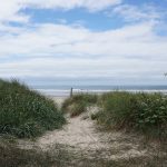 8 Best Beaches in Oregon