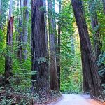 California’s 10 Best National Parks