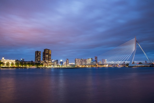 Top 10 Amsterdam to Rotterdam Bus: Timing & Luxurious Amenities