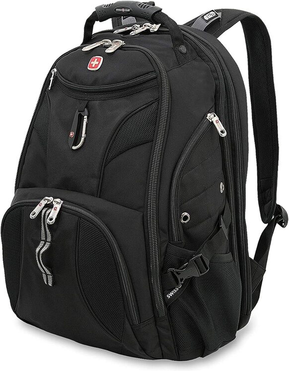 SwissGear 31L Travel Backpack