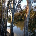 Top 10 Attractions of Melbourne