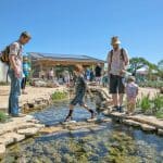 20 Must-Do Activities in Austin with Kids