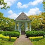 Singapore Botanic Gardens