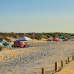 Assateague Island