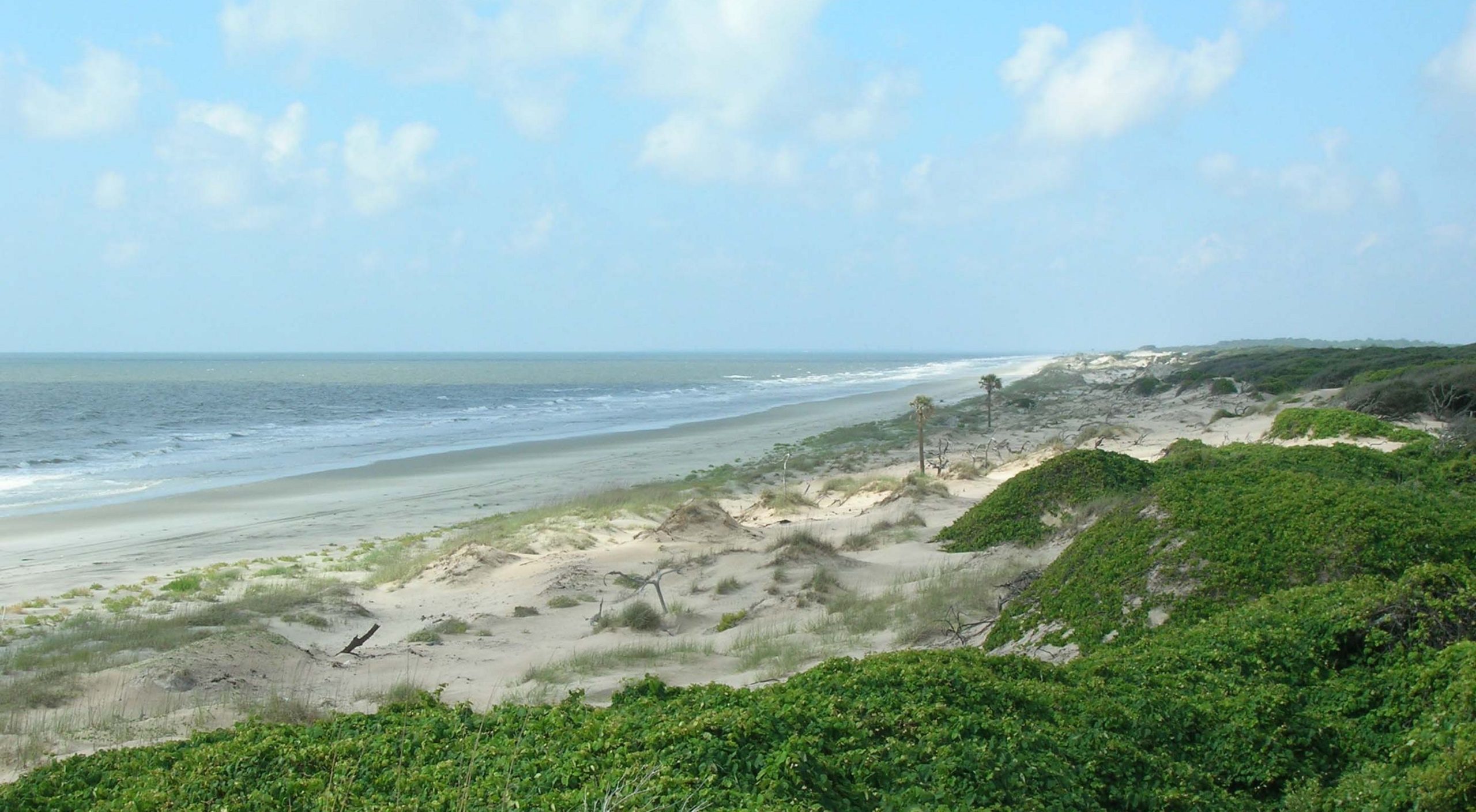 Cumberland Island, Georgia