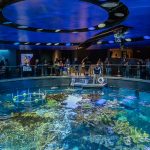 New England Aquarium