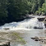 Swallow Falls State Park