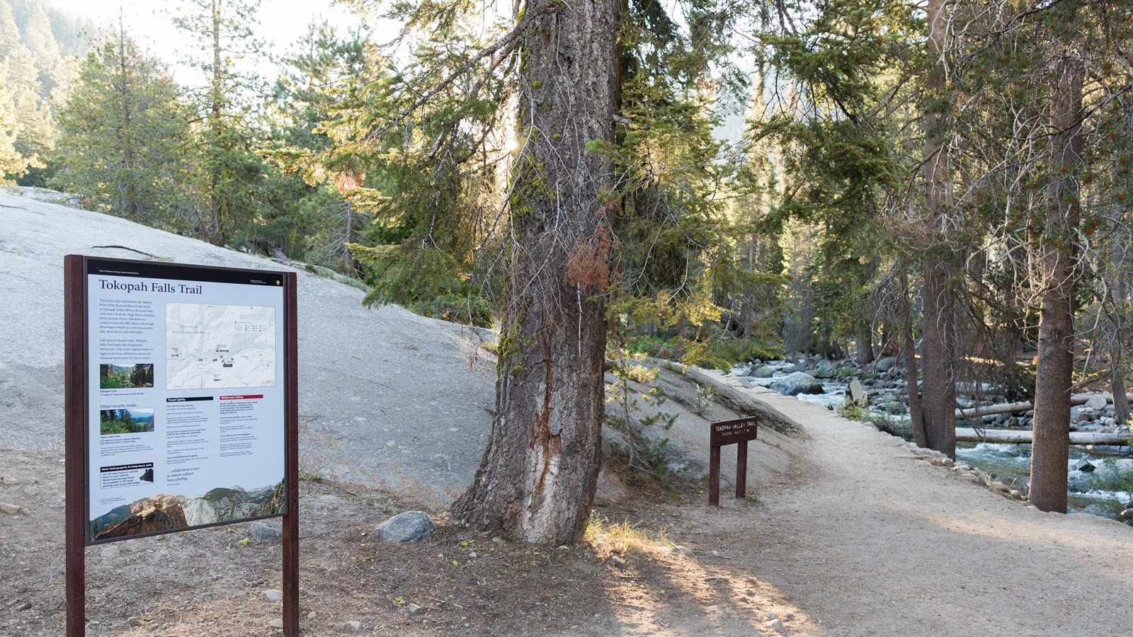 tokopah falls trail